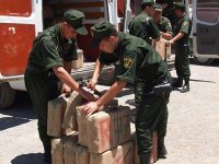 lutte contre le trafic de drogue Le cannabis marocain en tête des saisies