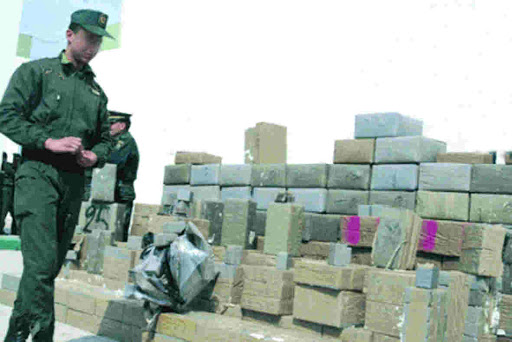 Malgré les quantités saisies par les services de sécurité 1 500 tonnes de cannabis échappent au contrôle