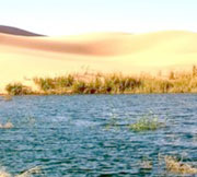 Ouargla ,Bain de sable à Hassi Benabadallah