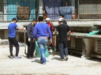 Premières Journées vertes pour la protection de l’environnement, L’écocitoyenneté pour consolider le processus