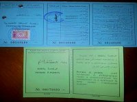 Près de 4.000 permis à points délivrés dans la wilaya d’Annaba