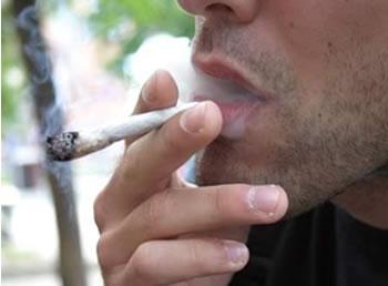 Principal fournisseur mondial de cannabis,Le Maroc « shoote » la planète