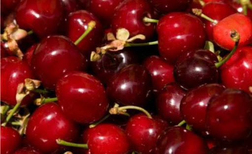 Production de la cerise à Tizi Ouzou, 20.000 quintaux de récolte attendus