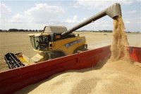 Produits alimentaires : des marchés plus équilibrés en 2013-2014, des récoltes record