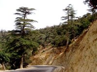 Renouveau rural : les forestiers doivent se mobiliser pour finaliser le programme quinquennal