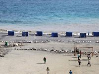 Saison estivale et ramadhan Une période propice pour booster les activités sportives et de détente