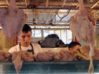 A quelques jours du Ramadhan Le poulet se donne des ailes à Oran