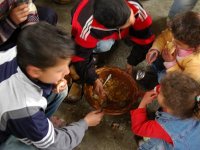 Actions de bienfaisance Solidarité, discrétion et dignité