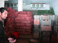 Agriculture – après avoir gagné la bataille de la production Le stockage, nouveau défi de benaïssa