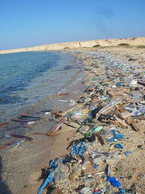 Algérie : Les plages, les nouvelles poubelles algériennes