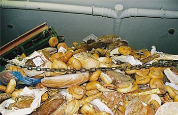 Campagne du ministère de l’agriculture : Halte au gaspillage