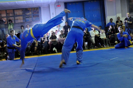Championnats du monde de vovinam viet vo-paris 2013,L&rsquo;Algérie sur le podium avec 17 médailles