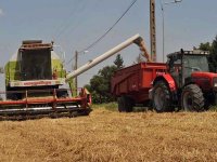 Constantine : En raison d’un excédent de productivité, Les capacités de stockage insuffisantes