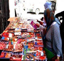 Constantine : les livres de cuisine largement en tête du « box-office »