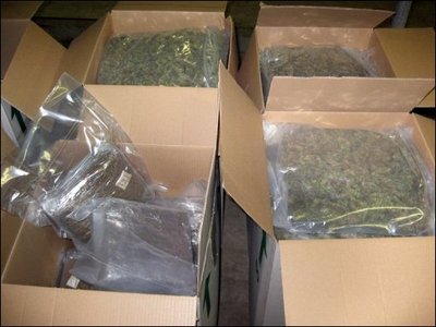 El-Oued : saisie de 5,749 tonnes de résine de cannabis
