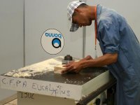 Formation professionnelle, L’expérience autrichienne exposée