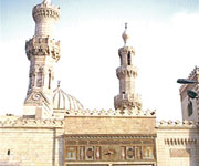 Ils prononcent des fatwas parfois bizarres et incongrues ,Ces cheikhs déconnectés