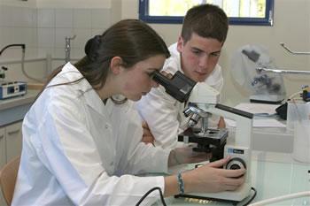 Inscription des nouveaux bacheliers,Les sciences naturelles très convoitées