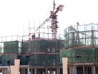 Investissements à Tipasa, La palme au BTPH