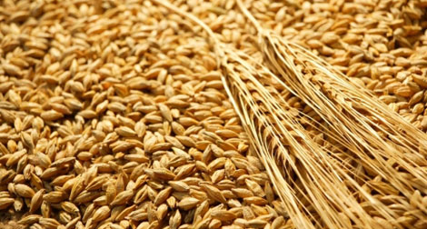 La facture alimentaire s’élèvera à 10 milliards de dollars fin 2013