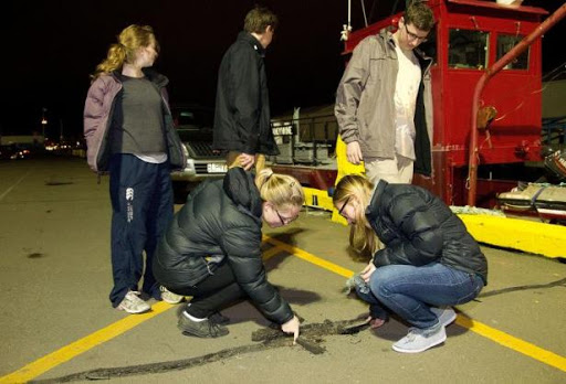 La Nouvelle-Zélande frappée par un séisme de magnitude 6,9