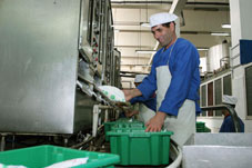 Lait : recul de plus de 4% de la facture des importations les 5 premiers mois 2013