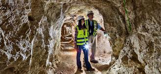 Le Russe Vertex Mining présélectionné pour la reprise des gisements d’or de Tirek et Amesmessa