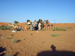 Le Wali d’adrar alerté par des associations d’élevage de cheptel, 24 familles égarées dans le grand désert sans eau ni nourriture