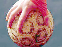 Omnisports/ Handball Mondiaux-2013 (cadets),L&rsquo;Algérie s&rsquo;incline face à la Suisse