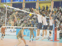 Omnisports / Volley-ball Mondial-2014 Baptême du feu réussi pour les Verts