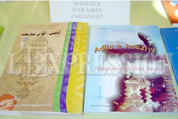 Prise en charge de tamazight,Appel à un débat à l&rsquo;APN