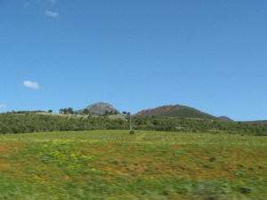 Renouveau agricole et rural, La nouvelle feuille de route de Benaïssa