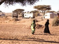 Sahara occidental, Des Américains se positionnent