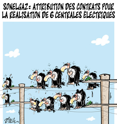 Sonelgaz:attribution des contrats pour la réalisation de 6 centrales électriques