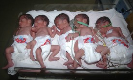 Une femme de 21 ans donne naissance à des quintuplés à l&rsquo;hôpital Mustapha Pacha