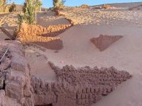 300 demandes d’indemnisation des fellahs victimes de la sécheresse à Guelma