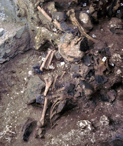 48 squelettes humains découverts dans une ancienne mine abandonnée à Ras el Ma (Skikda)