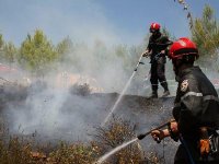 Baisse sensible des feux de forêt, Les explications de la Protection civile