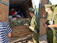 Boumerdès, La gendarmerie sur tous les fronts