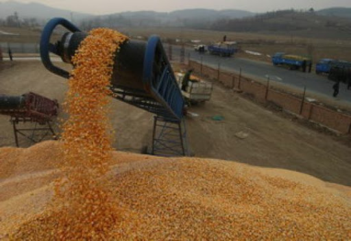 Céréales, Les importations de blé en forte augmentation