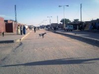 Conflit tribal de Bordj Badji Mokhtar « La stabilité et l’unité nationales, des lignes à ne pas franchir »