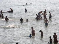 Des baigneurs se plaignent Les algues à l’origine des irritations ?