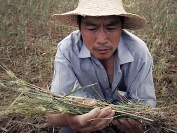 Elle a investi plus de 15 milliards de dollars en 2012,La Chine veut « bouffer » l’Afrique