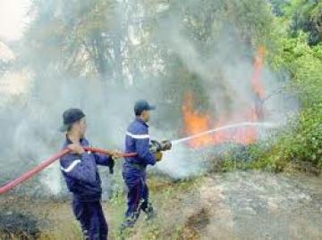 Feux de forêts : 544 hectares ravagés du 1er juin au 30 juillet