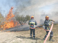 Feux de forêts ,Eviter à tout prix le scénario 2012