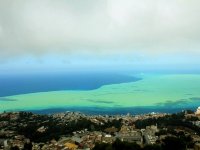 La coloration verdâtre du milieu marin est due à l’élévation de la température de l’eau
