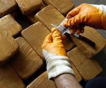 La drogue produite au Maroc sert à financer les groupes terroristes,Des barons au coeur du Royaume