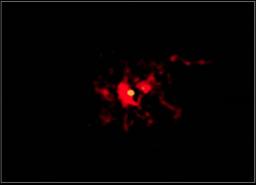 La naissance d’une étoile dans toute sa beauté et sa violence