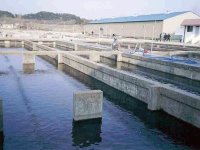 Le ministre de la Pêche à Sidi Bel-Abbès L’aquaculture pour pallier le déficit