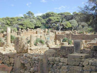 Malgré ses nombreux atouts, elle se dégrade et se fane, Tipaza : des trésors à déterrer, une mémoire à sauver